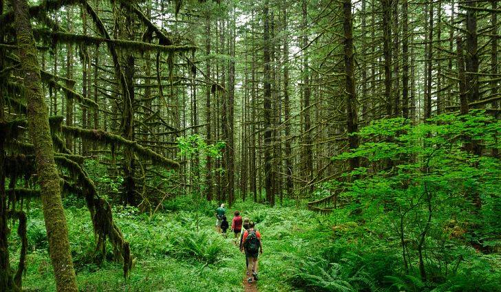 A vital shift towards eco-tourism in Pakistan