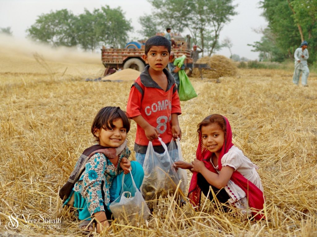 Baisakhi, a grand celebration of farmers