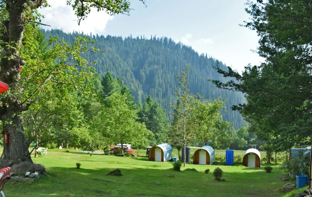 KP’s Sharan forest attracts tourists