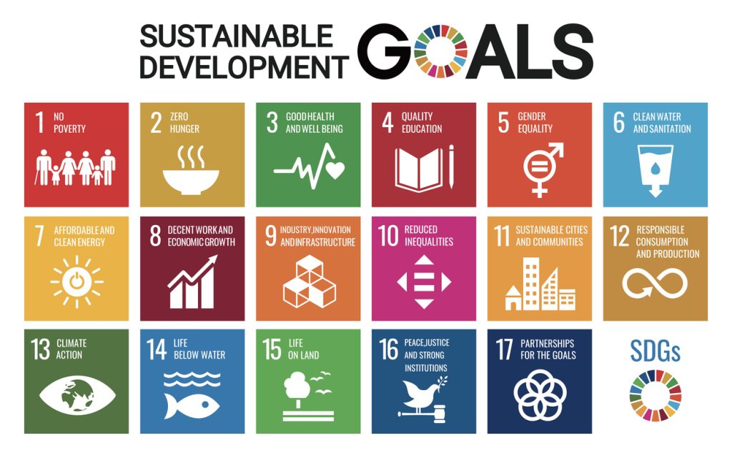 United Nations Sustainable Development Goals Series