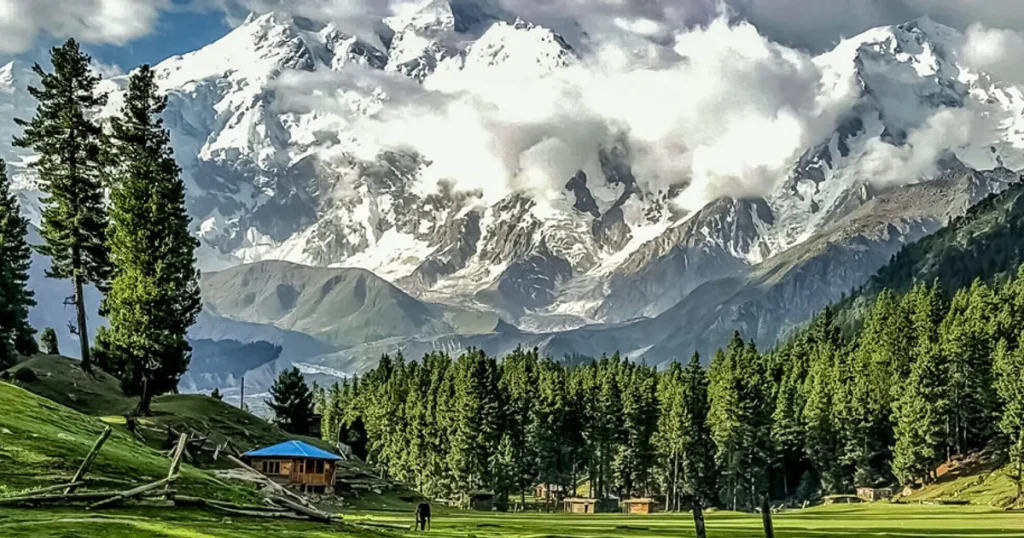Trek to Fairy Meadows & Nanga Parbat Base Camp