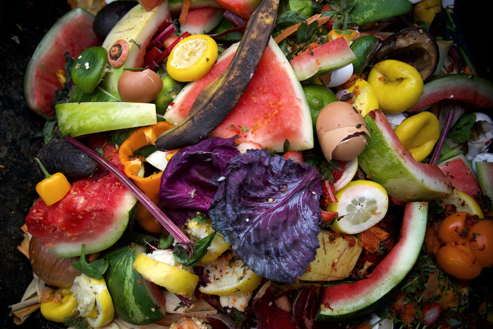Addressing Food Waste in Pakistan, Initiatives & innovations leading the way