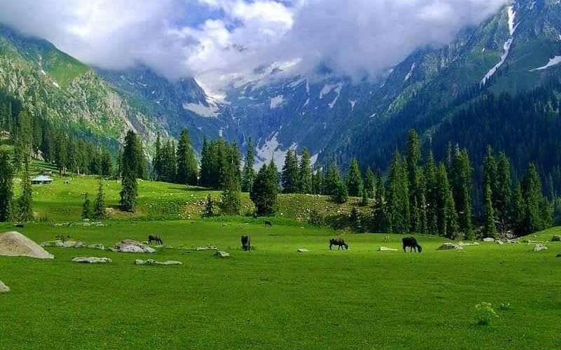 Kumrat Valley, A place full of natural bounties
