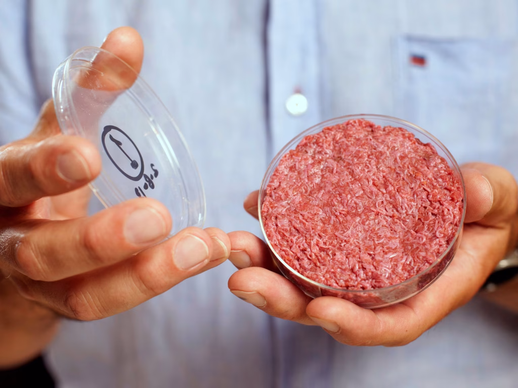 Meat without slaughter, Here’s everything you need to know about lab-grown meat