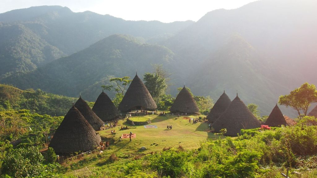 Engaging Generation X in nature conservation through ecotourism