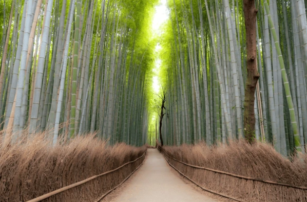 Japan to relax travel advisory for Pakistan