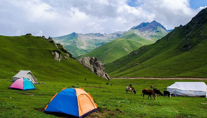 Tourists hail Badgoi Pass reopening