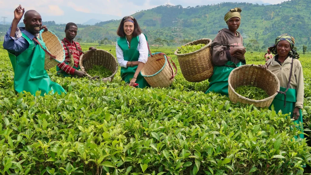 Agri-tourism got potential to revitalize economy