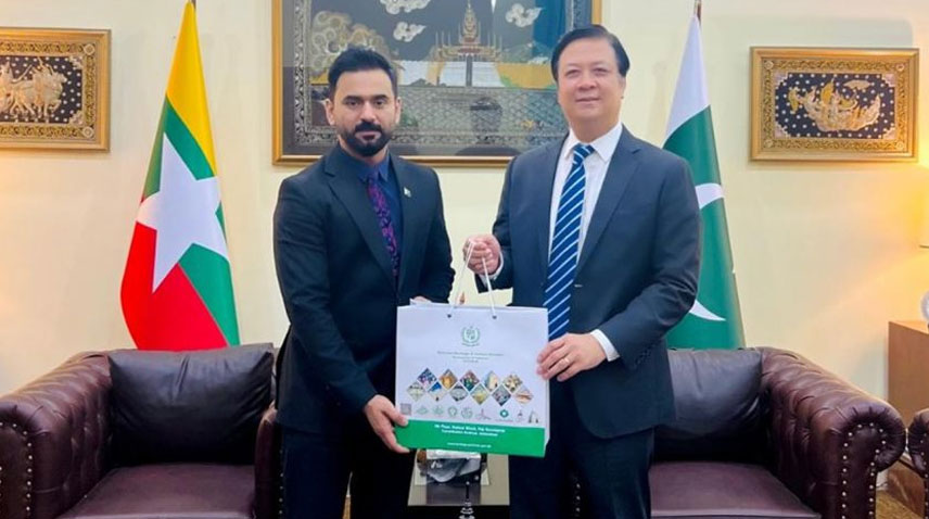 Pakistan, Myanmar to Deepen Cultural Cooperation with Focus on Gandhara Heritage