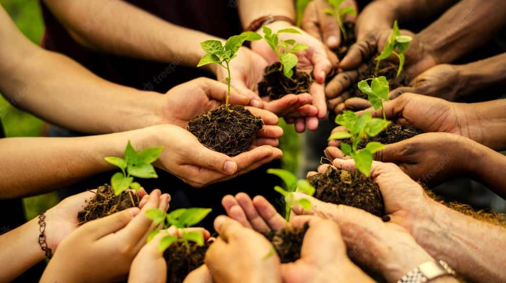 LAHORE GETS GREEN BILLION BOOST: Mega Rs 4 Billion Tree Plantation Drive Approved