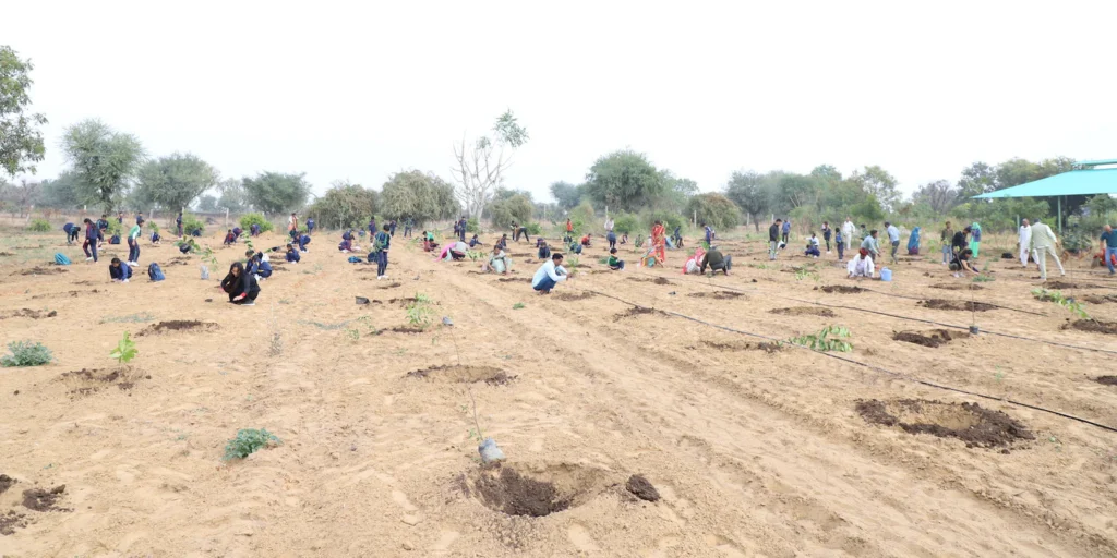 Punjab Plants 40 Million Native Trees in One of Pakistan’s Largest Digitally Monitored Afforestation Campaigns