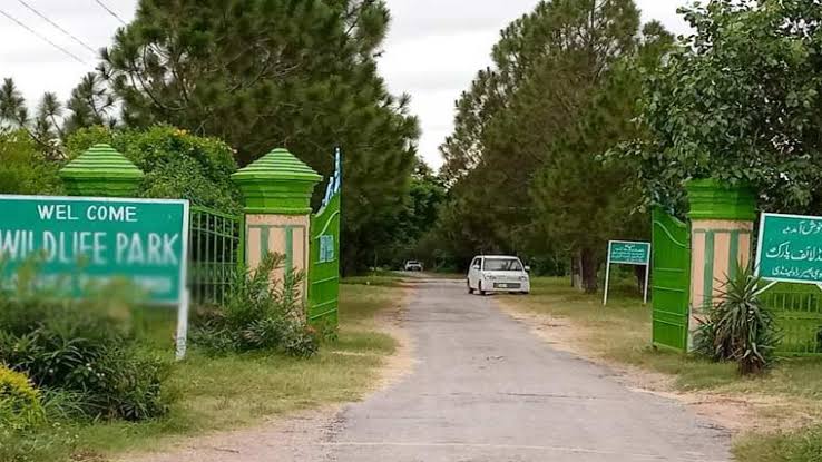 Pakistan to Develop First World-Class Wildlife Safari Park in Islamabad