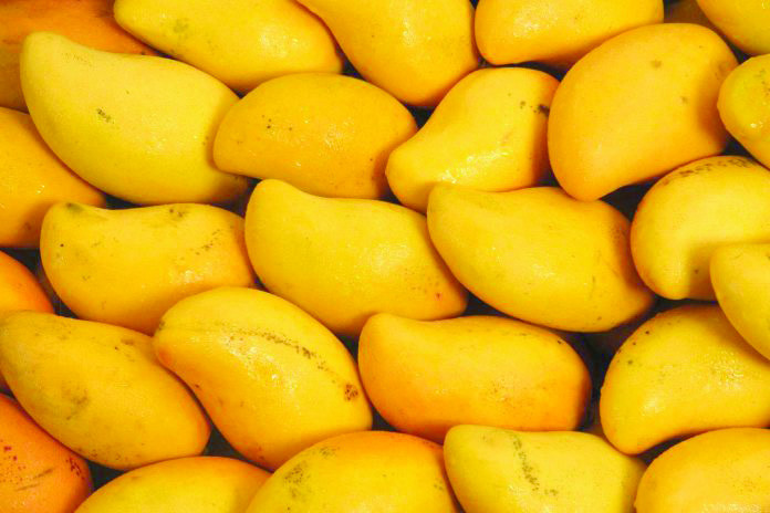 Sweet Diplomacy: Pakistan Promotes Trade and Friendship Through Premium Mangoes